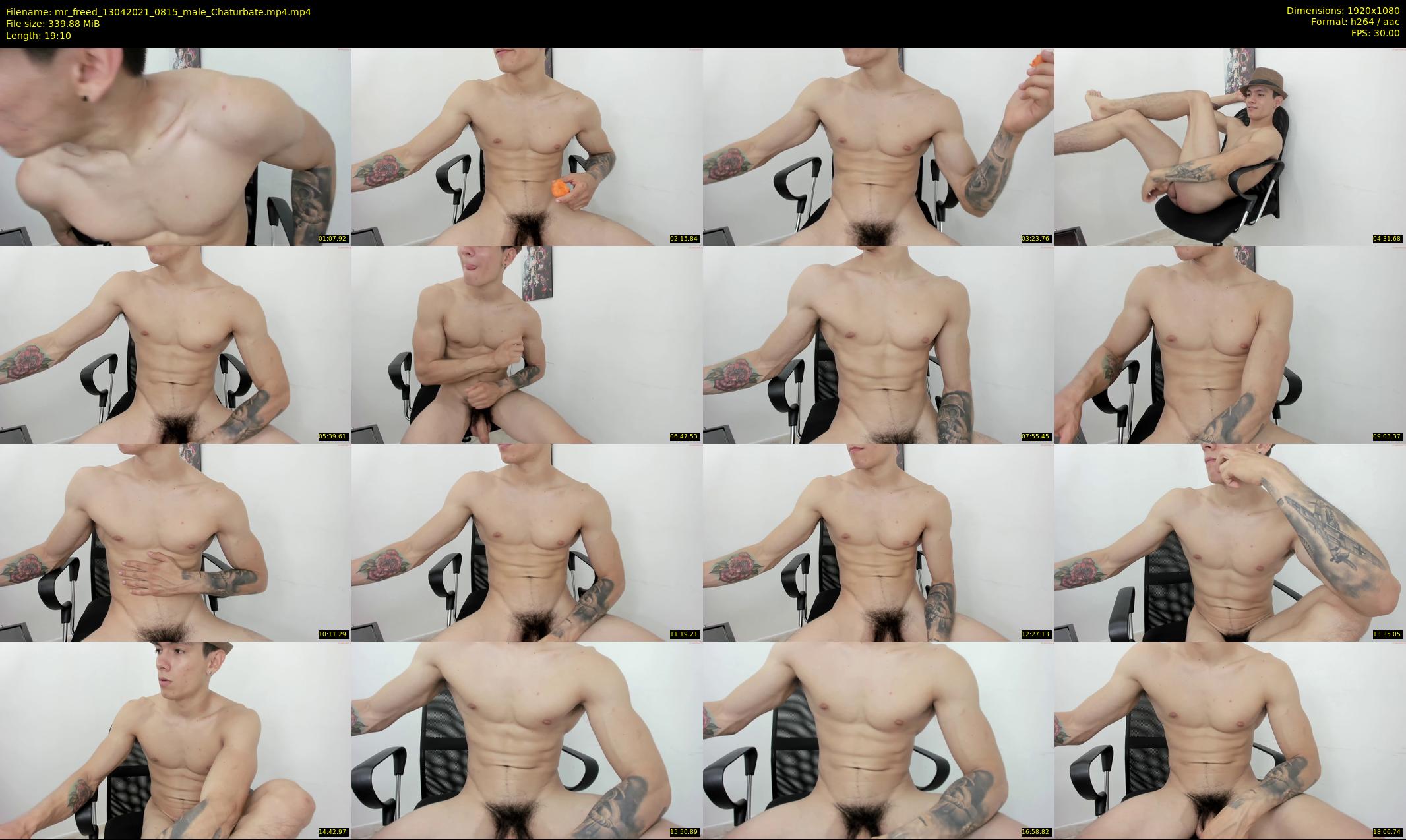 mr_freed — 20 minute Chaturbate male cam show recording, 1080p, Apr 13, 2021