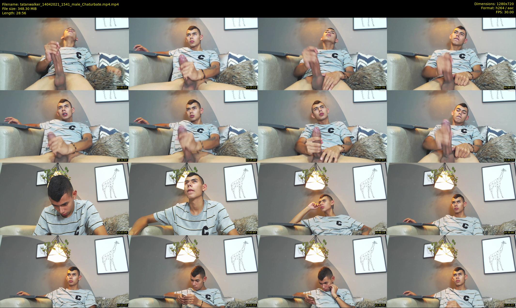 tatanwalker — 29 minute Chaturbate male cam show recording, 720p, Apr 14, 2021