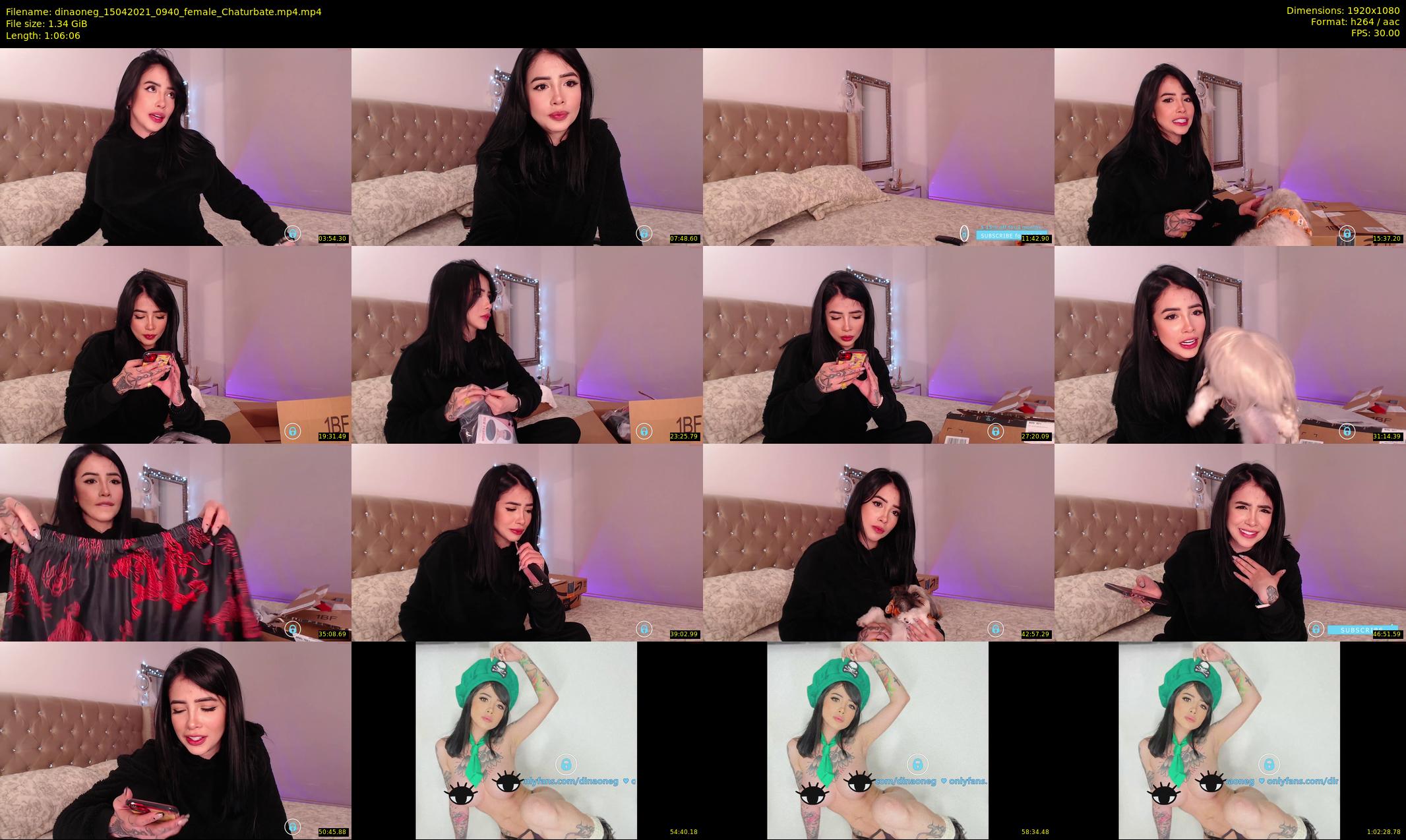 dinaoneg — 67 minute Chaturbate female cam show recording, 1080p, Apr 15, 2021