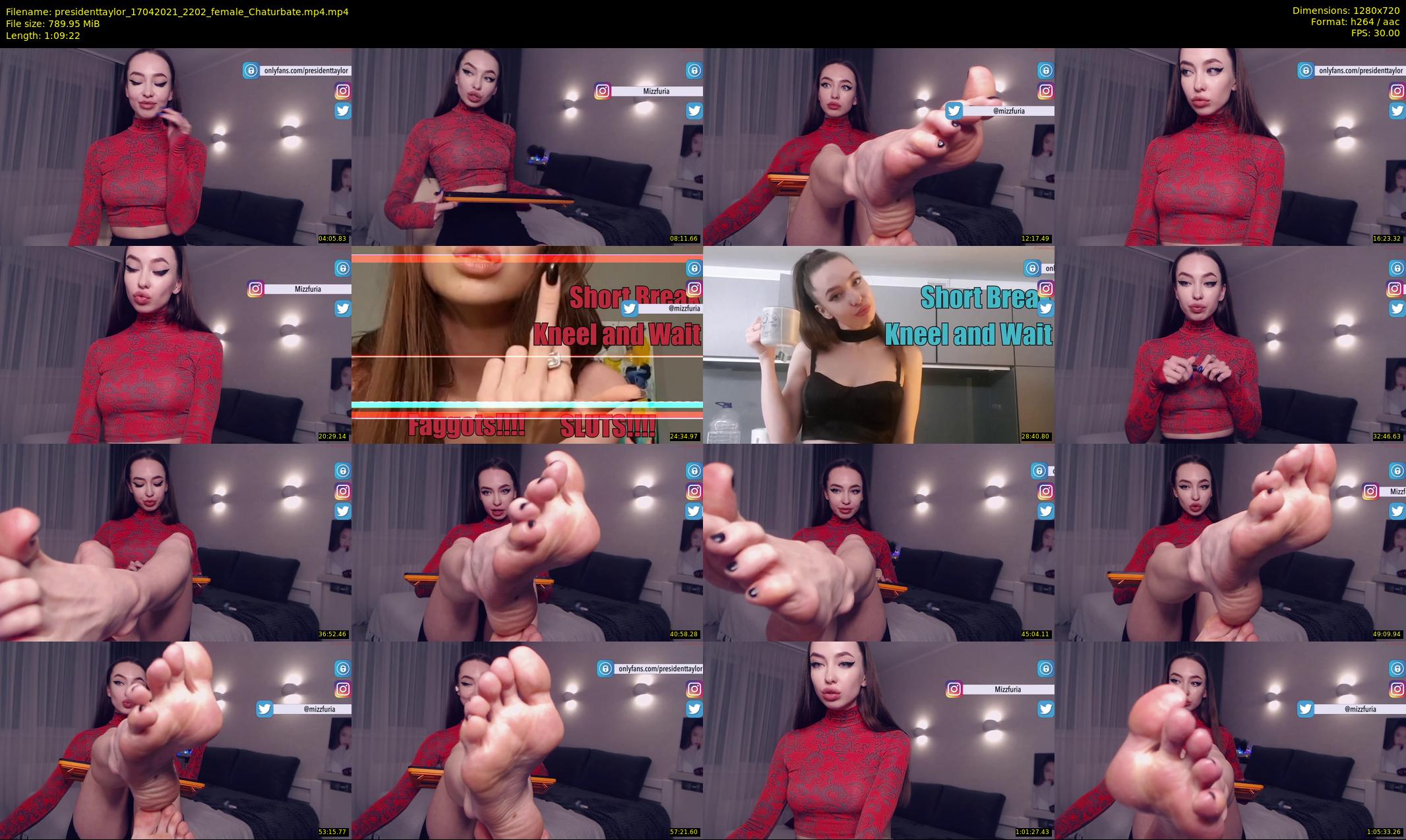 presidenttaylor — 70 minute Chaturbate female cam show recording, 720p, Apr 17, 2021