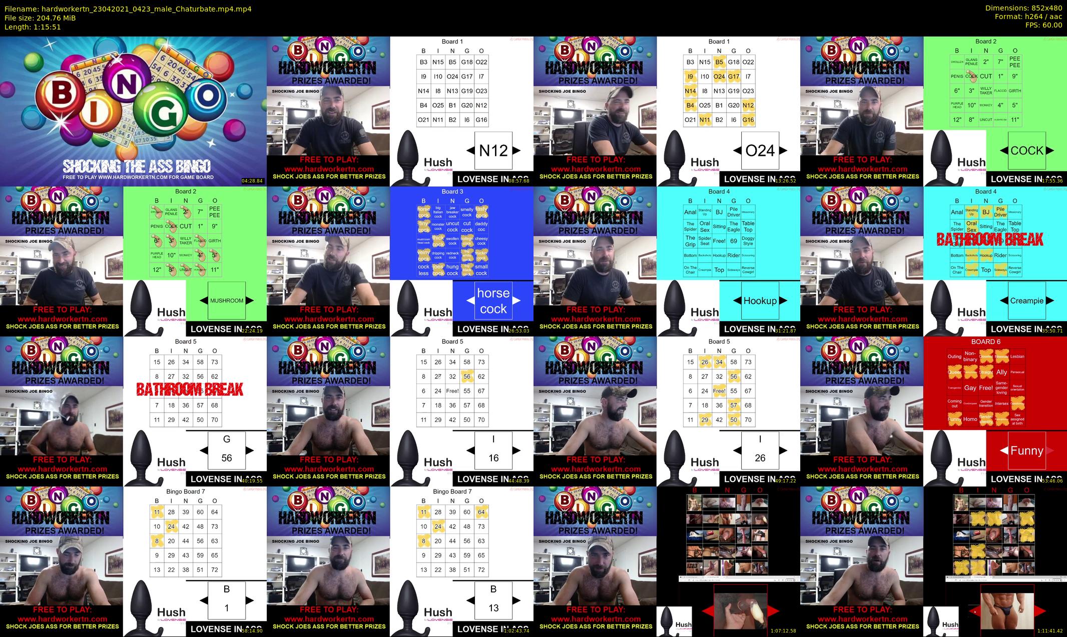 hardworkertn — 76 minute Chaturbate male cam show recording, 480p, Apr 23, 2021