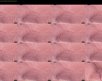 ramonatorres_ — 47 minute Chaturbate female cam show recording, 1080p, Apr 26, 2021