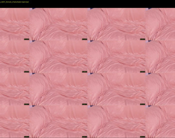 ramonatorres_ — 5 minute Chaturbate female cam show recording, 1080p, Apr 26, 2021