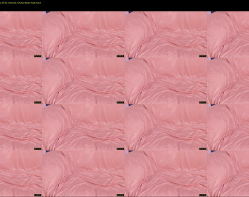 ramonatorres_ — 16 minute Chaturbate female cam show recording, 1080p, Apr 26, 2021