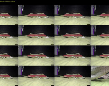 ahomy77 — 6 minute Chaturbate female cam show recording, 1080p, Apr 30, 2021