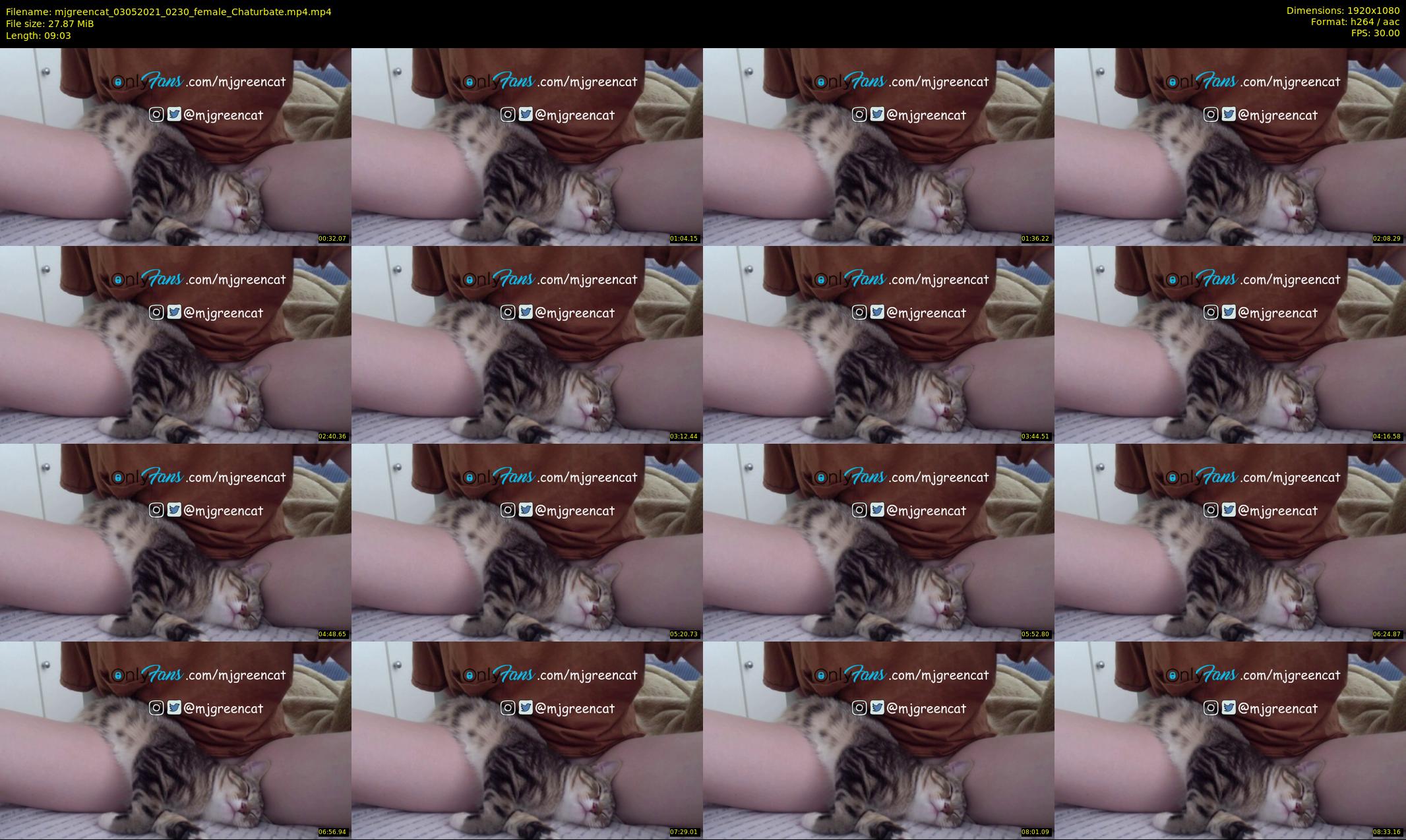 mjgreencat — 10 minute Chaturbate female cam show recording, 1080p, May 3, 2021