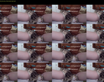 mjgreencat — 10 minute Chaturbate female cam show recording, 1080p, May 3, 2021