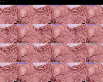 ramonatorres_ — 24 minute Chaturbate female cam show recording, 1080p, May 2, 2021