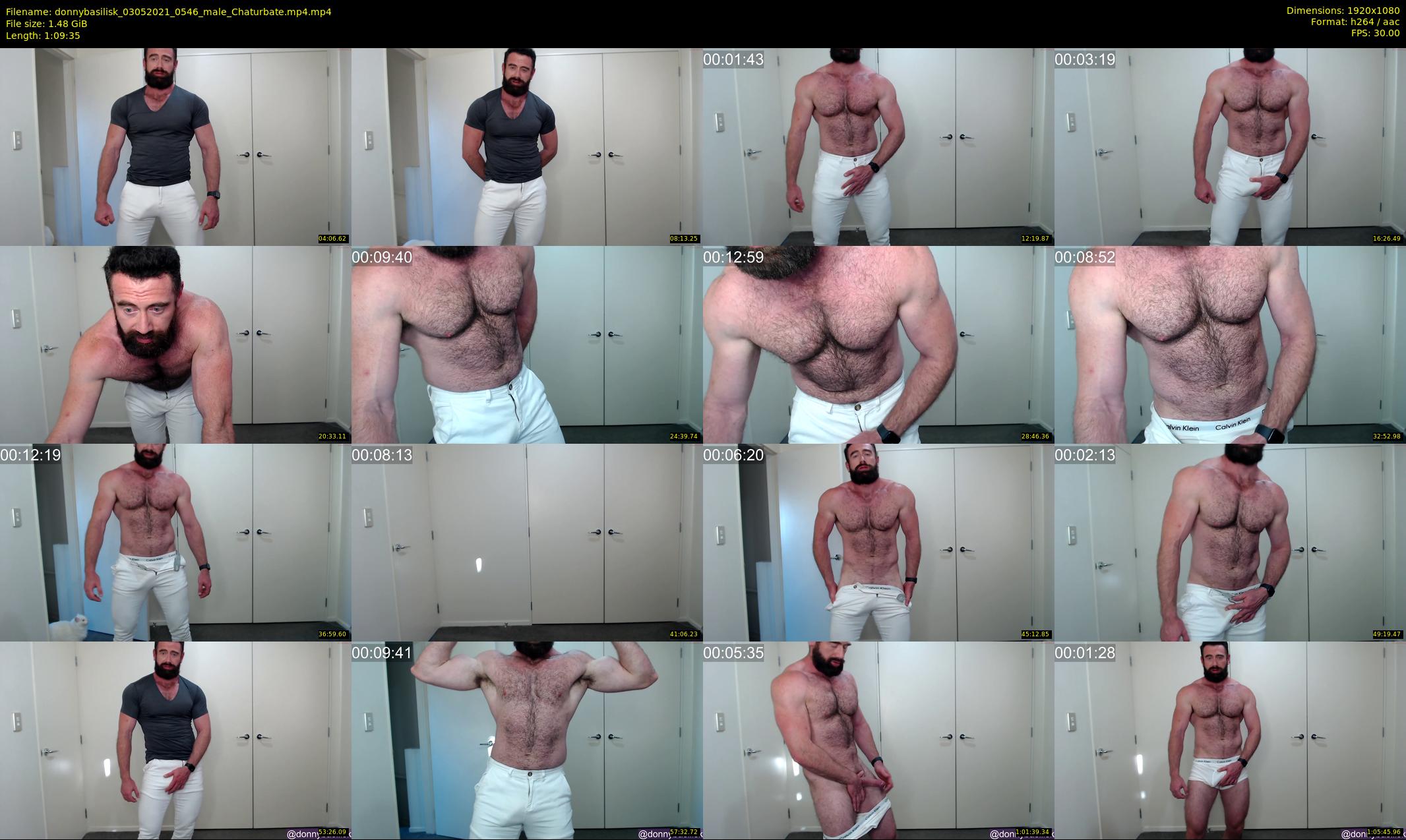 donnybasilisk — 70 minute Chaturbate male cam show recording, 1080p, May 3, 2021