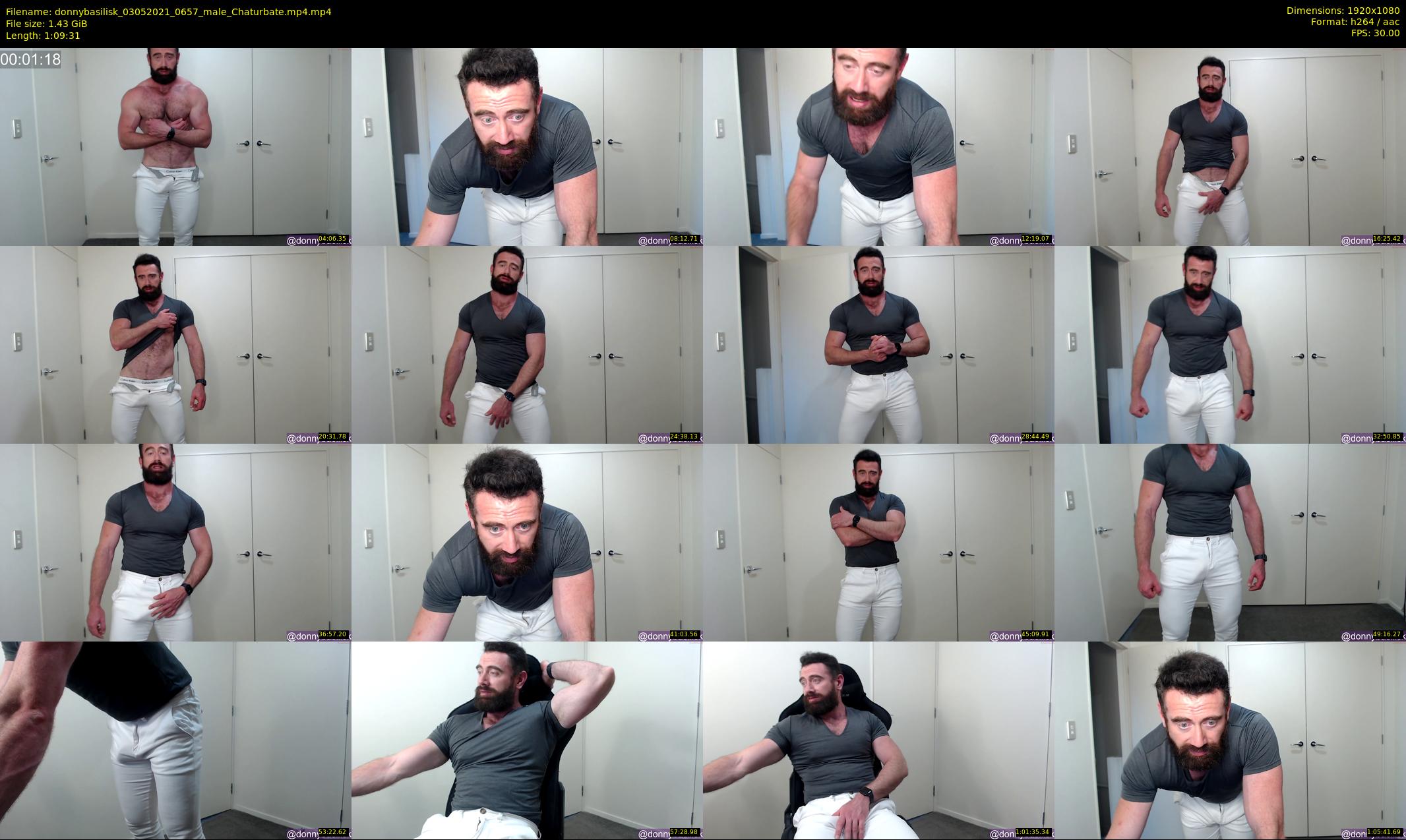 donnybasilisk — 70 minute Chaturbate male cam show recording, 1080p, May 3, 2021