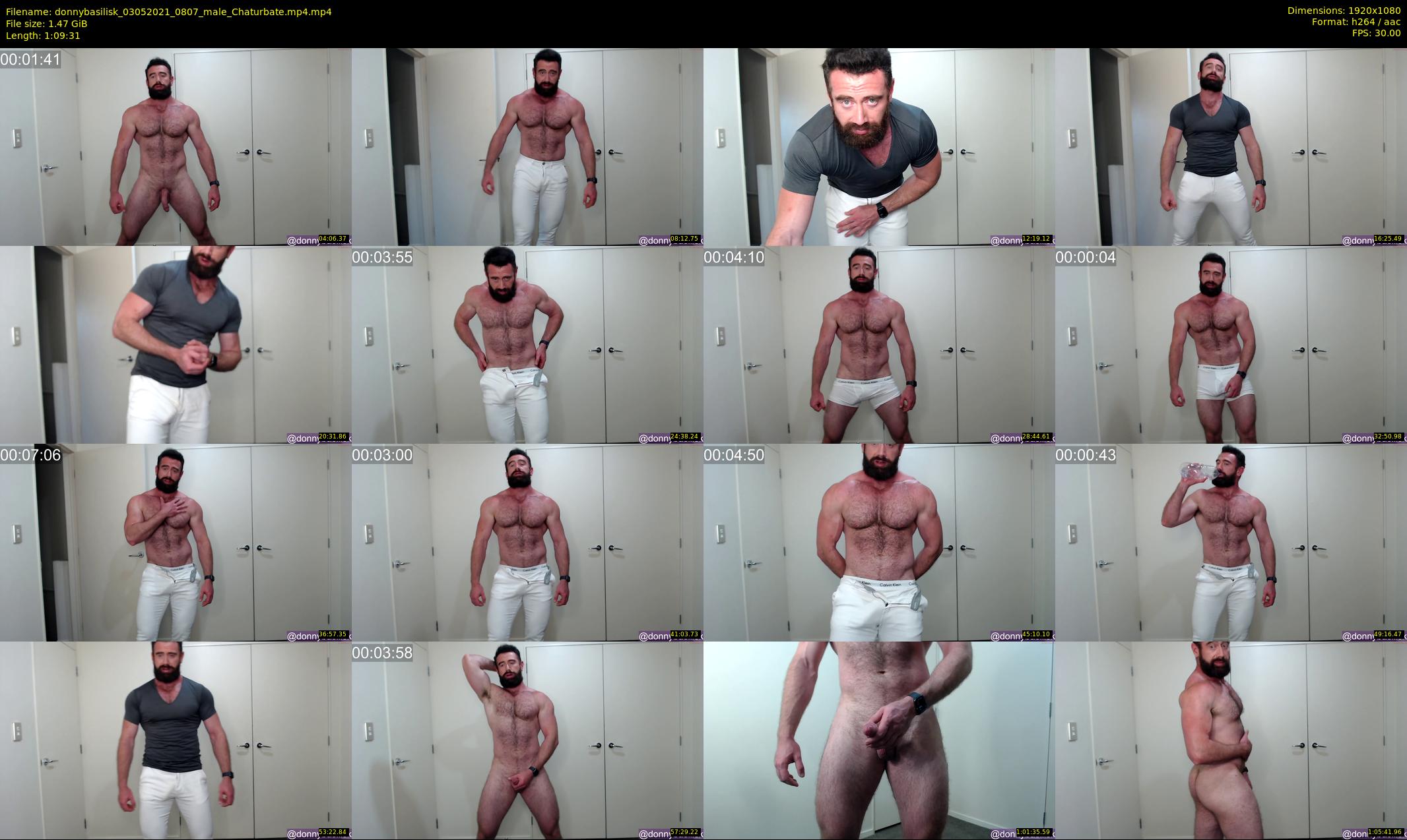 donnybasilisk — 70 minute Chaturbate male cam show recording, 1080p, May 3, 2021