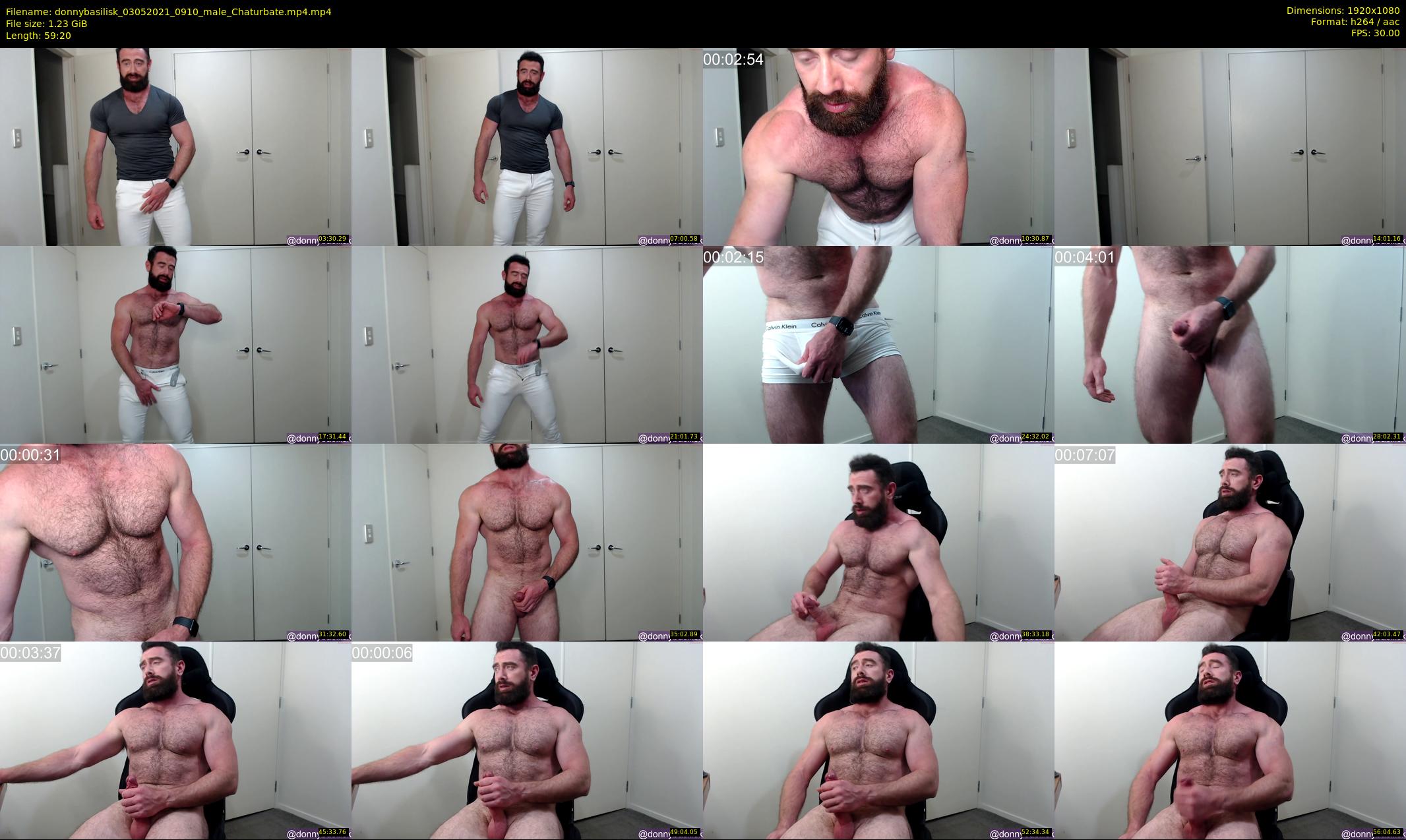 donnybasilisk — 60 minute Chaturbate male cam show recording, 1080p, May 3, 2021