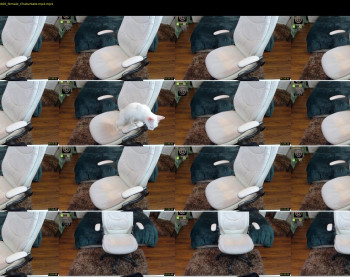 miaangel20 — 31 minute Chaturbate female cam show recording, 1080p, May 5, 2021