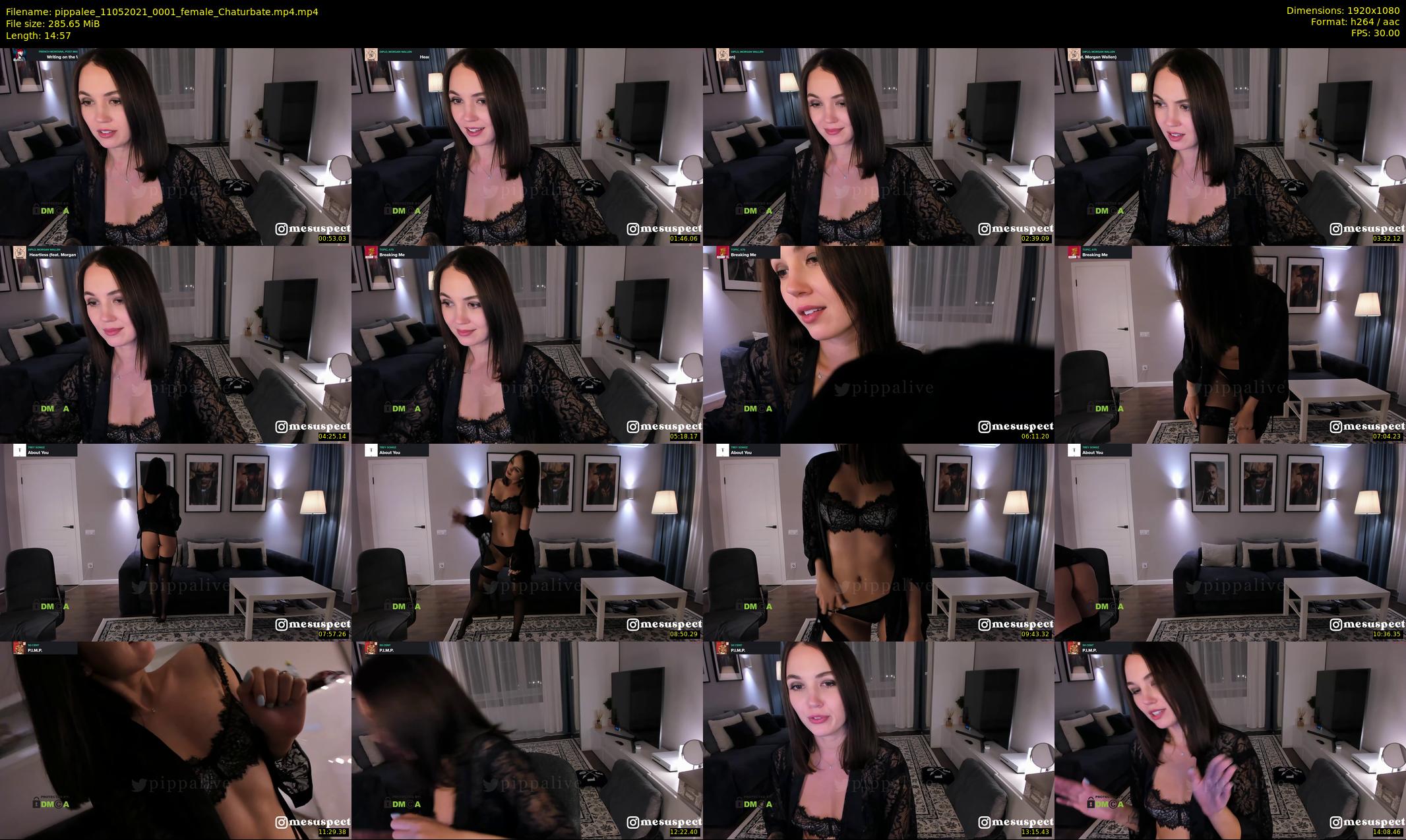 pippalee — 15 minute Chaturbate female cam show recording, 1080p, May 11, 2021