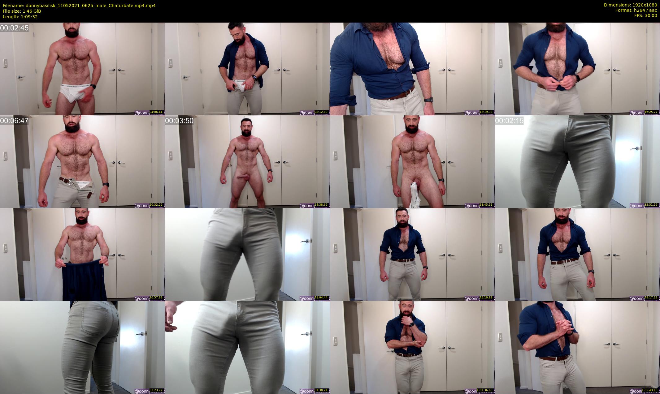 donnybasilisk — 70 minute Chaturbate male cam show recording, 1080p, May 11, 2021