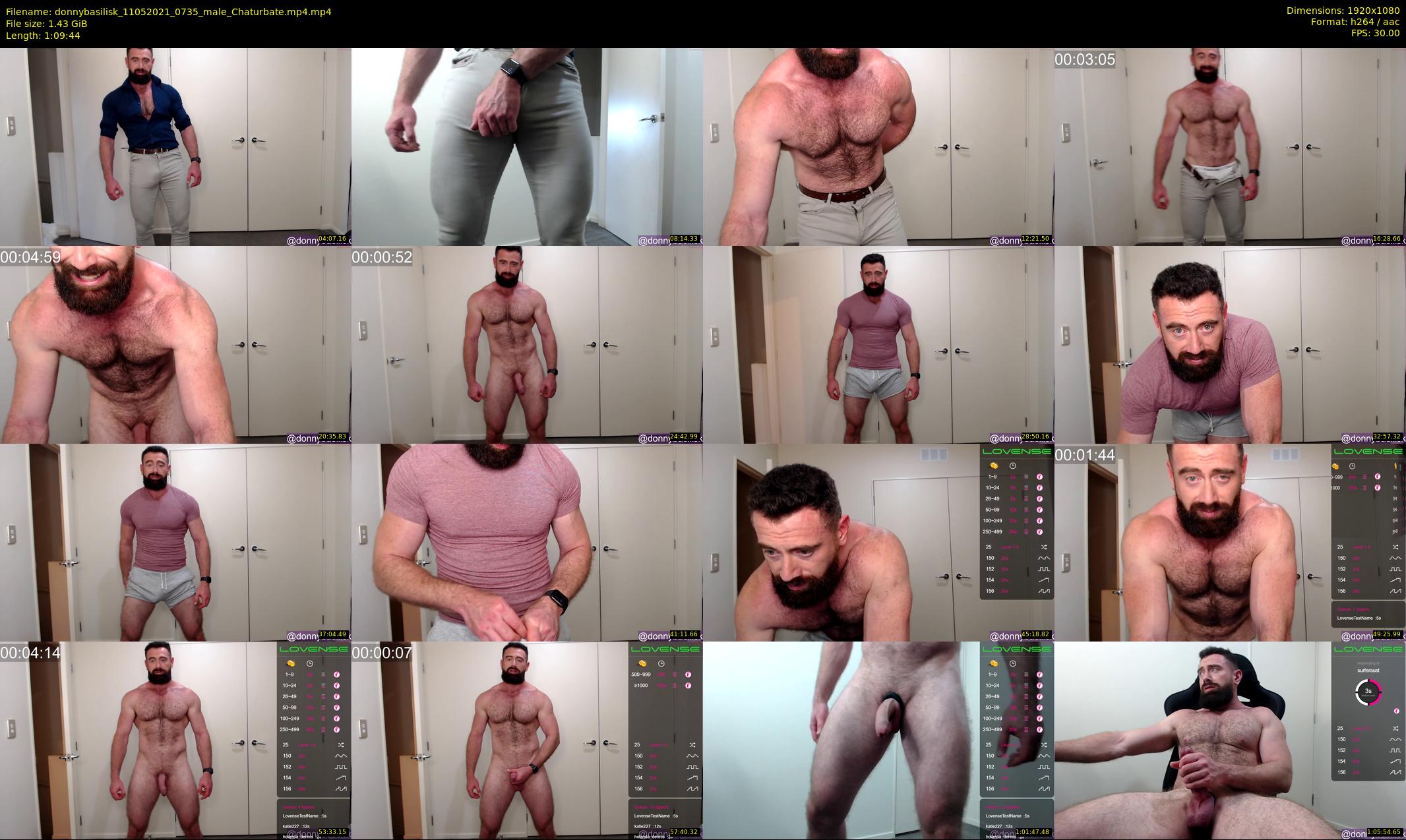 donnybasilisk — 70 minute Chaturbate male cam show recording, 1080p, May 11, 2021