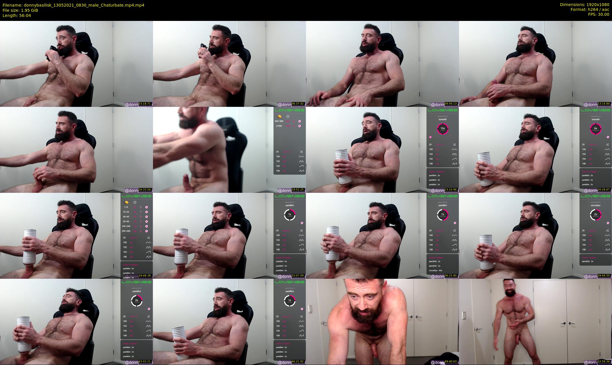 donnybasilisk — 57 minute Chaturbate male cam show recording, 1080p, May 13, 2021