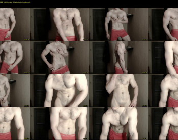 big_nick_for_you_ — 9 minute Chaturbate male cam show recording, 1080p, May 16, 2021
