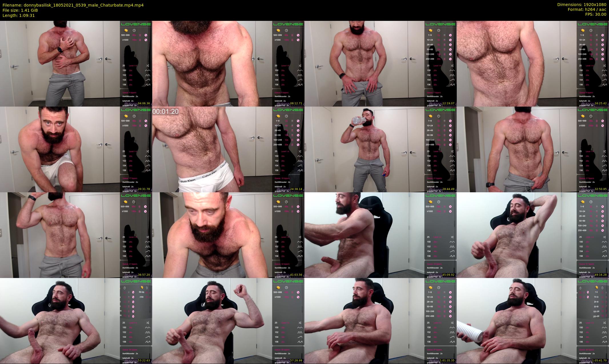 donnybasilisk — 70 minute Chaturbate male cam show recording, 1080p, May 18, 2021