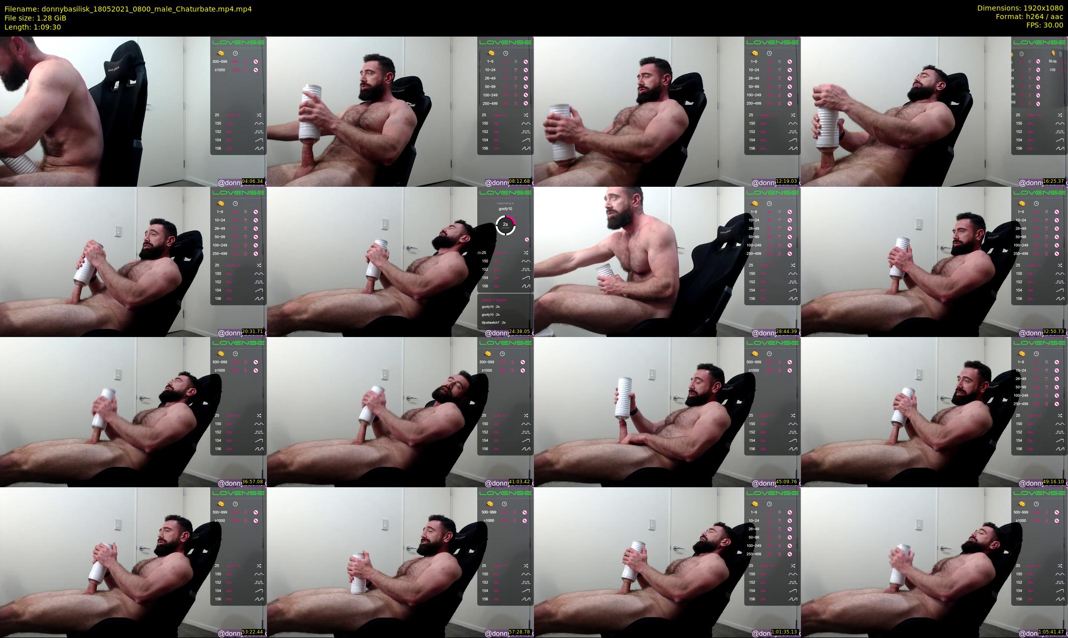 donnybasilisk — 70 minute Chaturbate male cam show recording, 1080p, May 18, 2021
