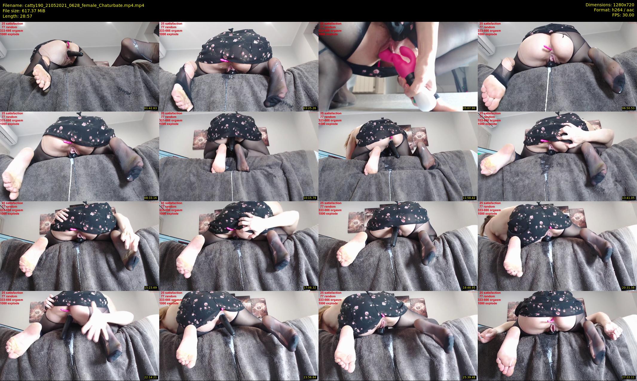 catty190 — 29 minute Chaturbate female cam show recording, 720p, May 21, 2021