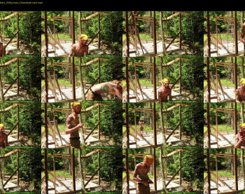 honeyand_thebear — 30 minute Chaturbate couple cam show recording, 1080p, May 21, 2021
