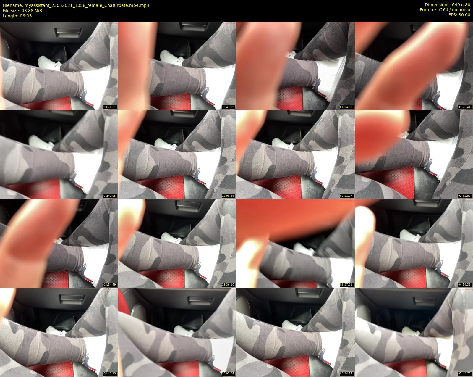 myassistant — 7 minute Chaturbate female cam show recording, 480p, May 23, 2021