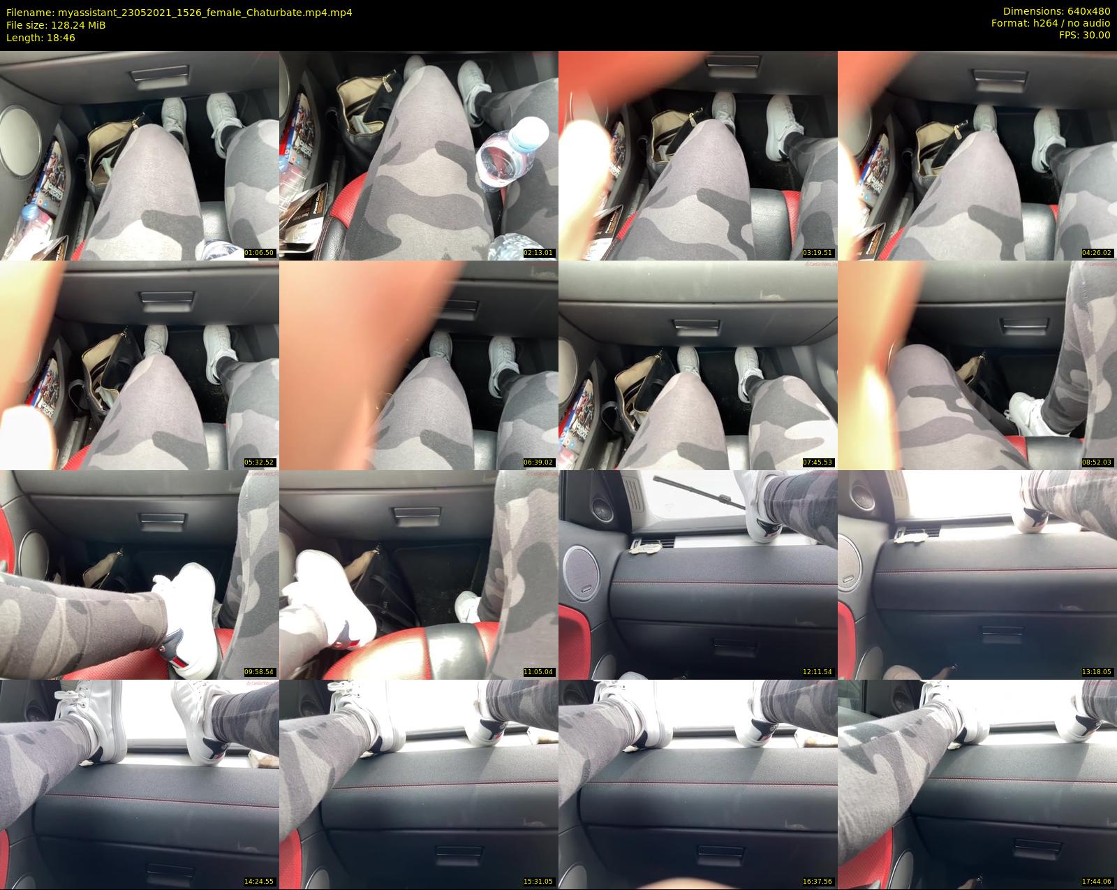 myassistant — 19 minute Chaturbate female cam show recording, 480p, May 23, 2021