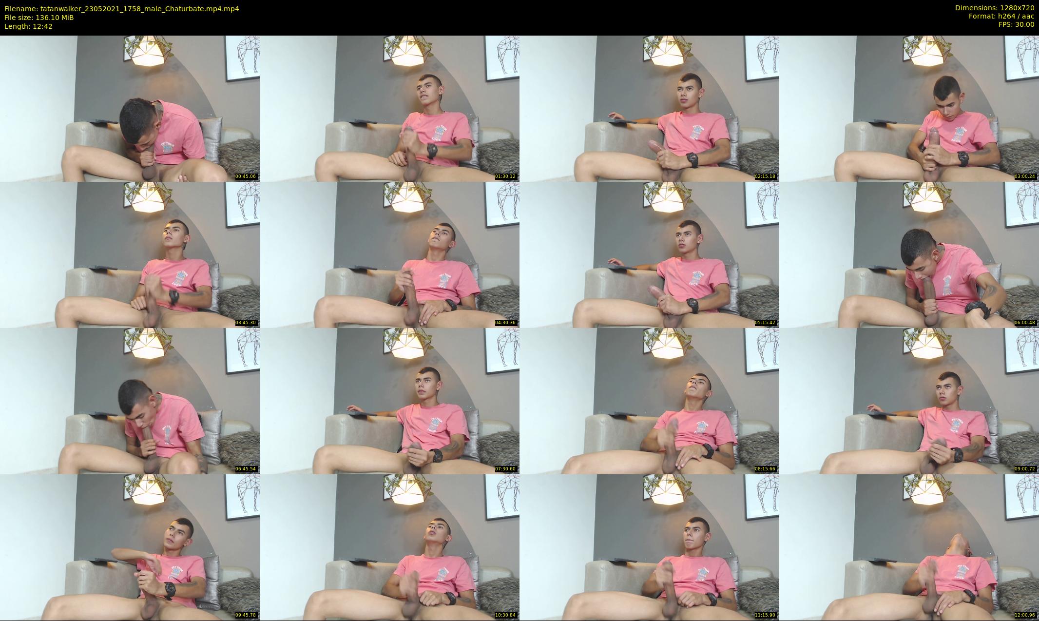 tatanwalker — 13 minute Chaturbate male cam show recording, 720p, May 23, 2021