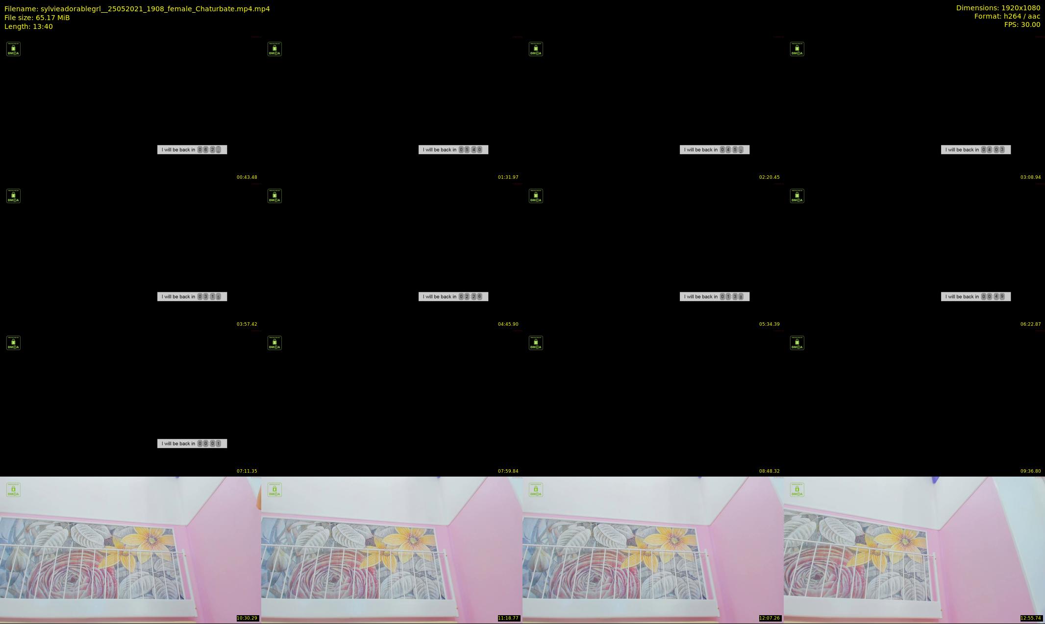 sylvieadorablegrl_ — 14 minute Chaturbate female cam show recording, 1080p, May 25, 2021