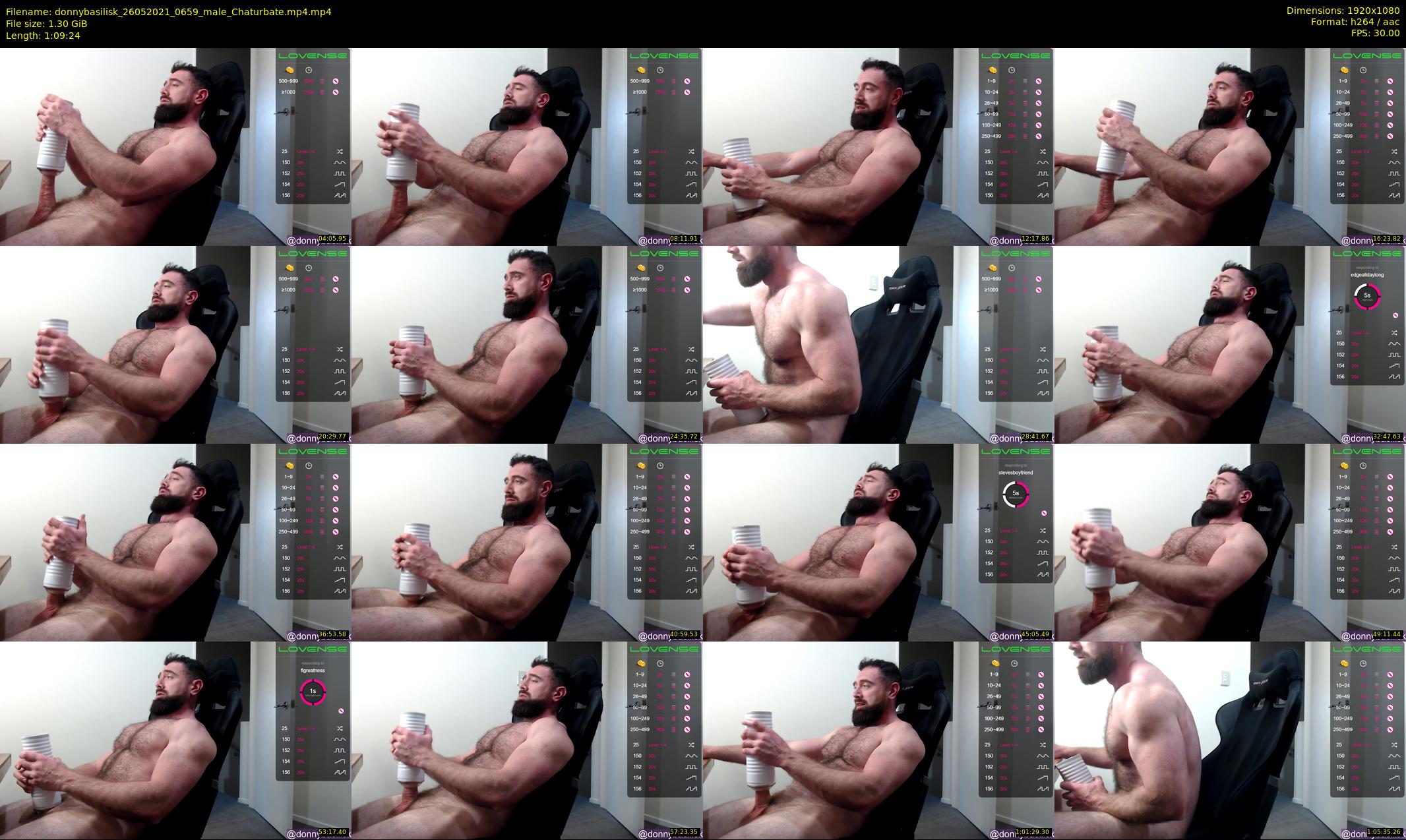 donnybasilisk — 70 minute Chaturbate male cam show recording, 1080p, May 26, 2021