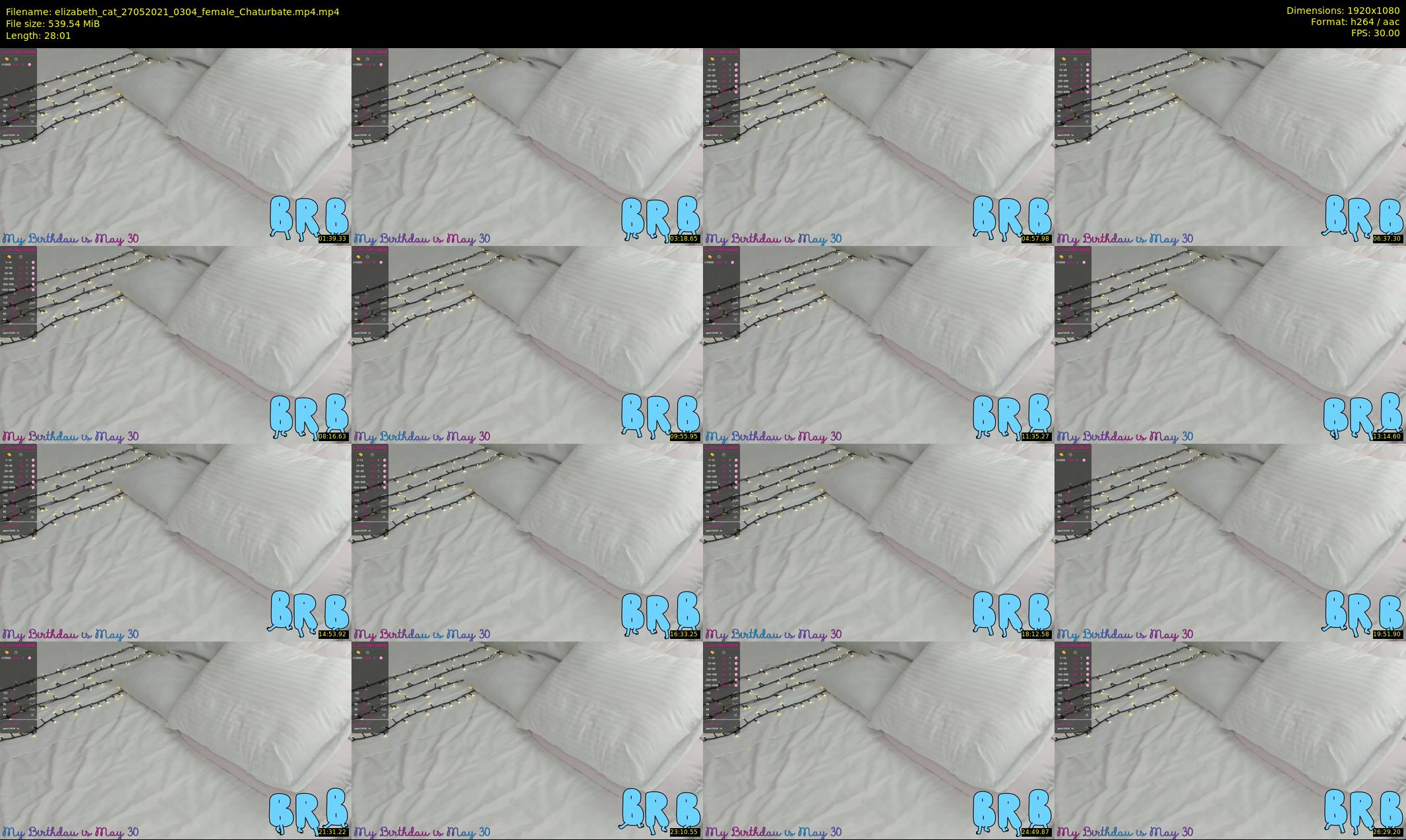 elizabeth_cat — 29 minute Chaturbate female cam show recording, 1080p, May 27, 2021