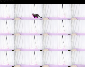 superbdolls — 24 minute Chaturbate couple cam show recording, 1080p, May 27, 2021