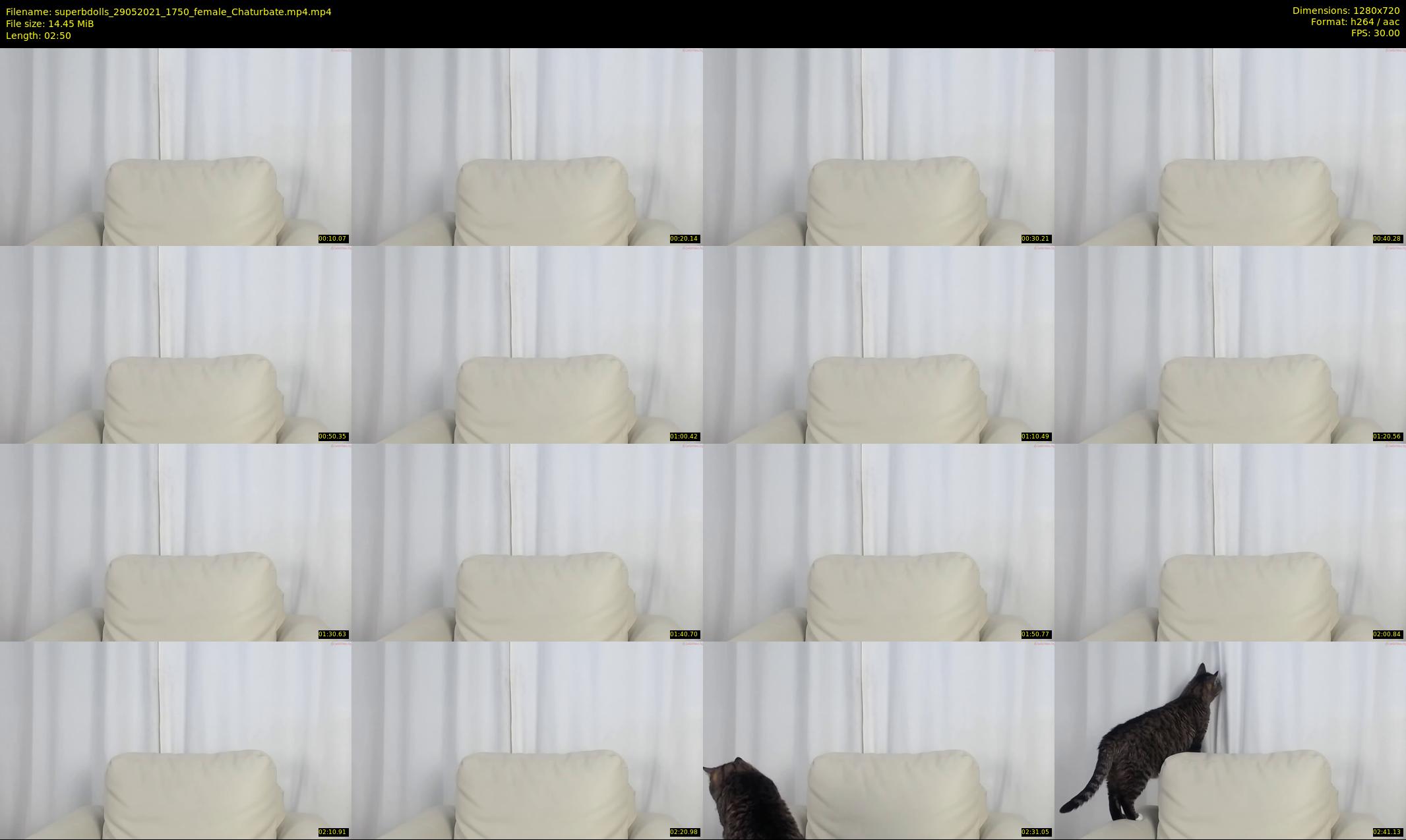 superbdolls — 3 minute Chaturbate couple cam show recording, 720p, May 29, 2021