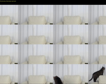 superbdolls — 3 minute Chaturbate couple cam show recording, 720p, May 29, 2021