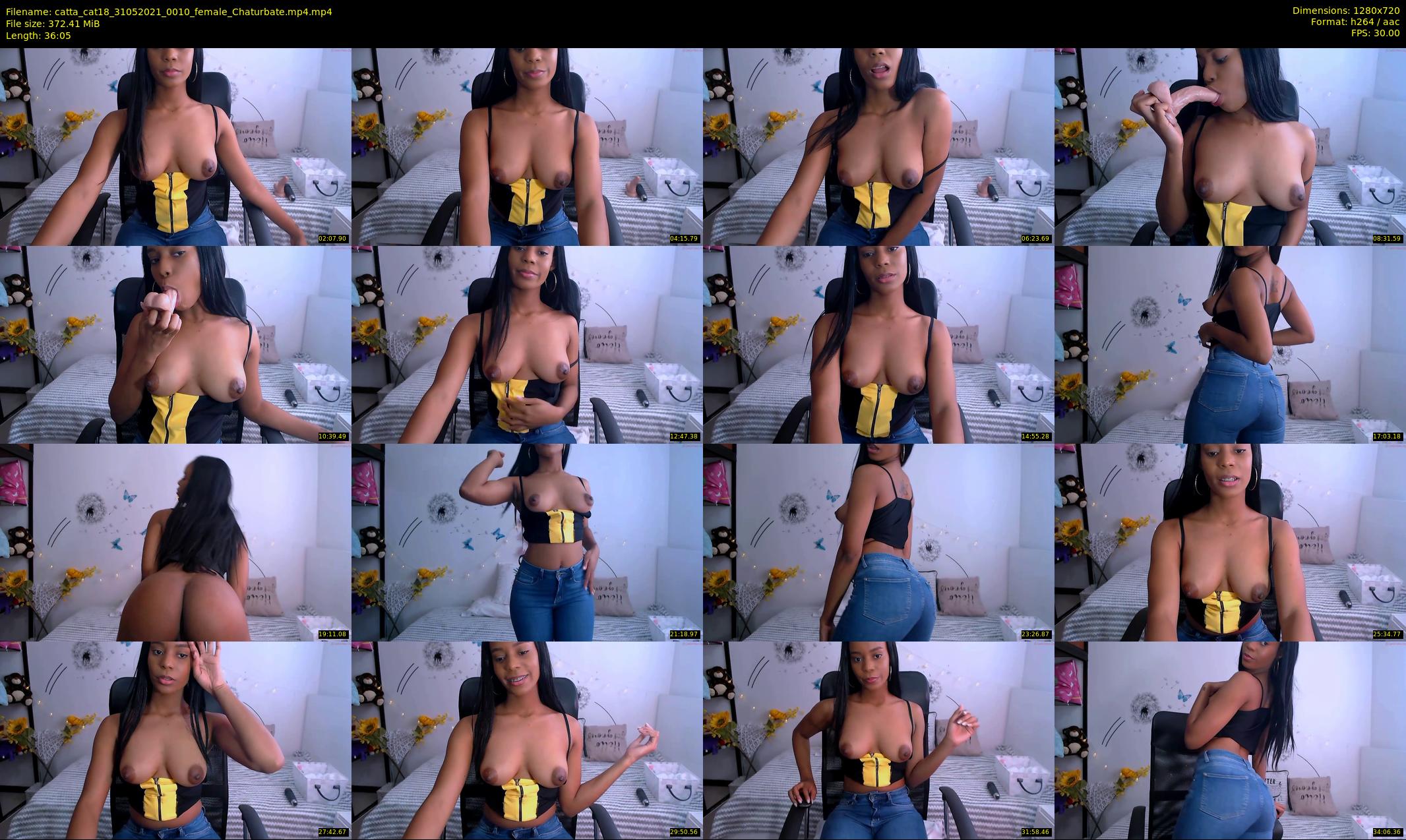catta_cat18 — 37 minute Chaturbate female cam show recording, 720p, May 31, 2021