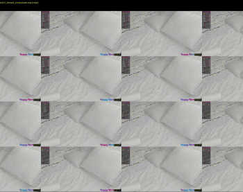 elizabeth_cat — 5 minute Chaturbate female cam show recording, 1080p, May 31, 2021