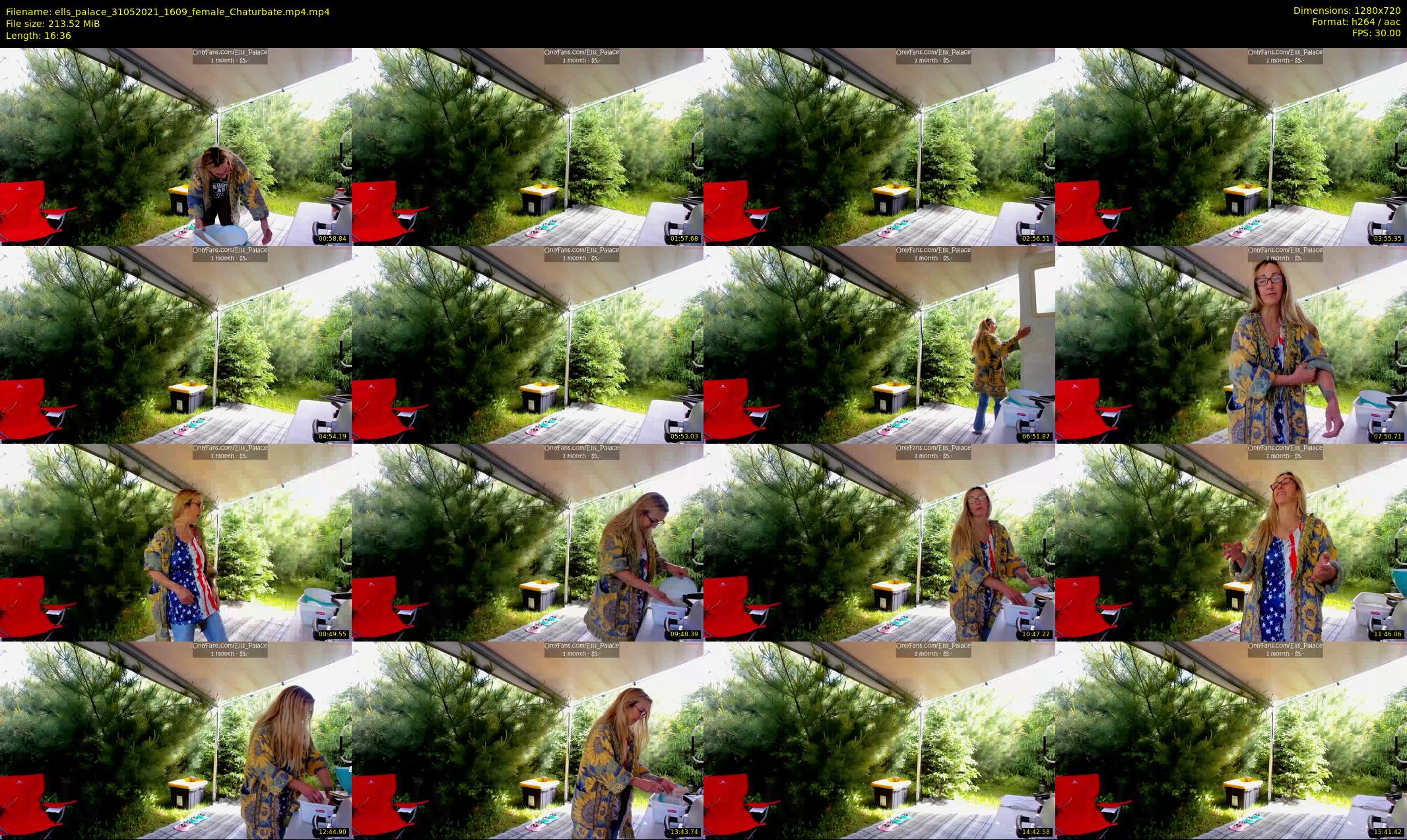 ells_palace — 17 minute Chaturbate female cam show recording, 720p, May 31, 2021