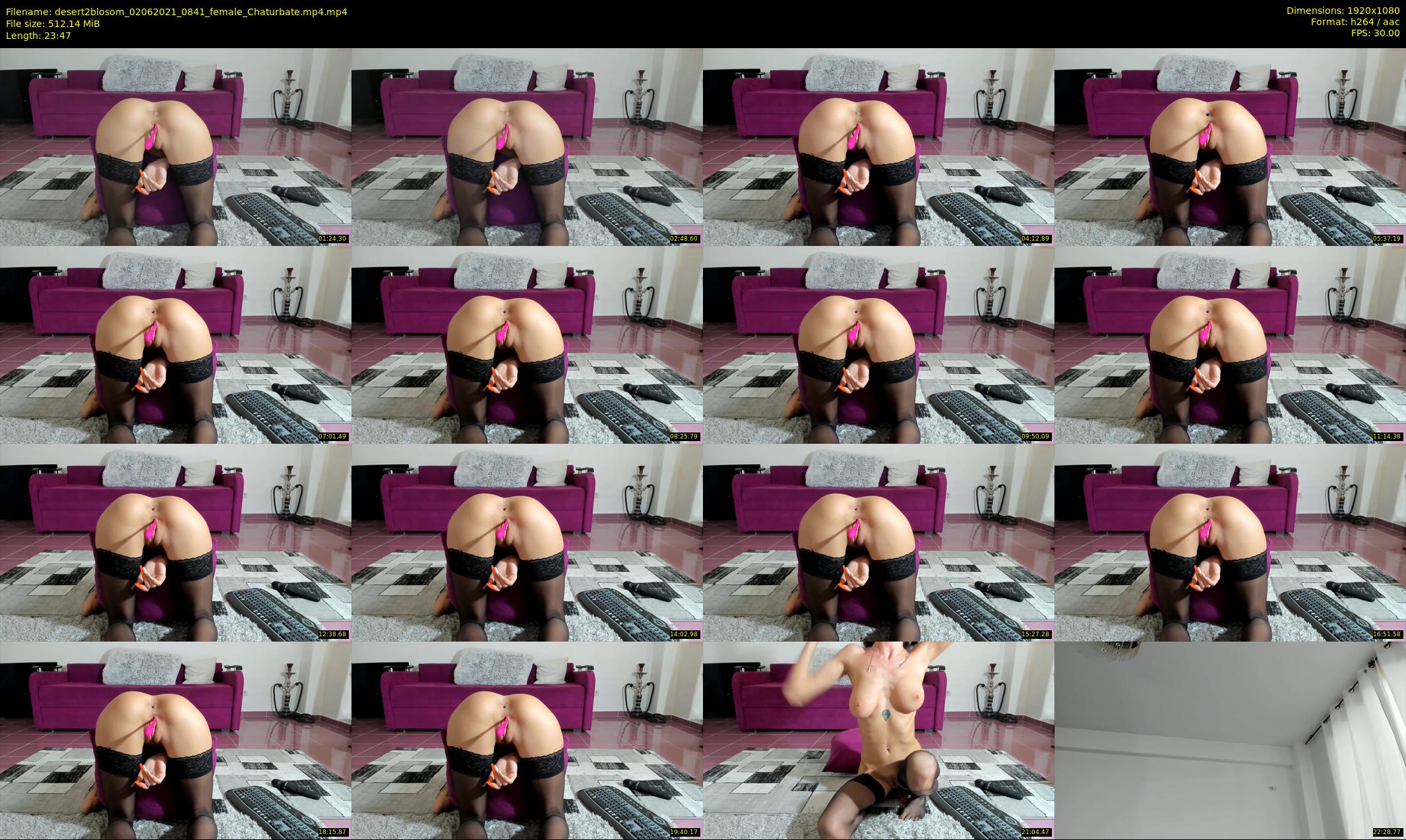 desert2blosom — 24 minute Chaturbate female cam show recording, 1080p, Jun 2, 2021