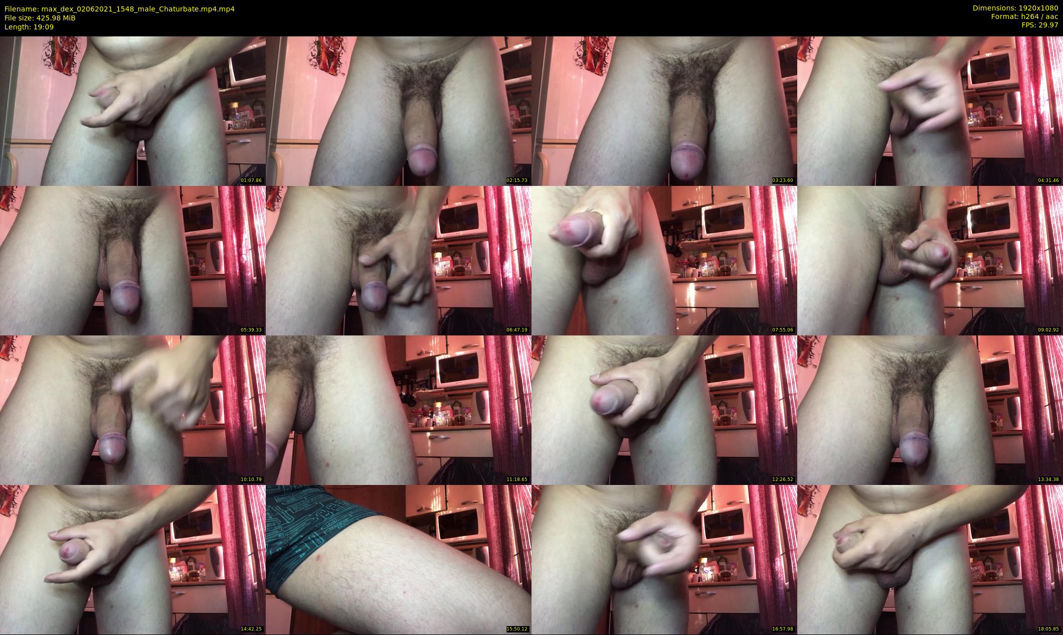 max_dex — 20 minute Chaturbate male cam show recording, 1080p, Jun 2, 2021