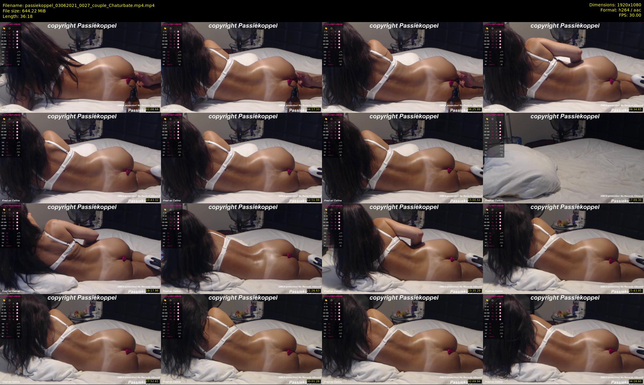 passiekoppel — 37 minute Chaturbate couple cam show recording, 1080p, Jun 3, 2021