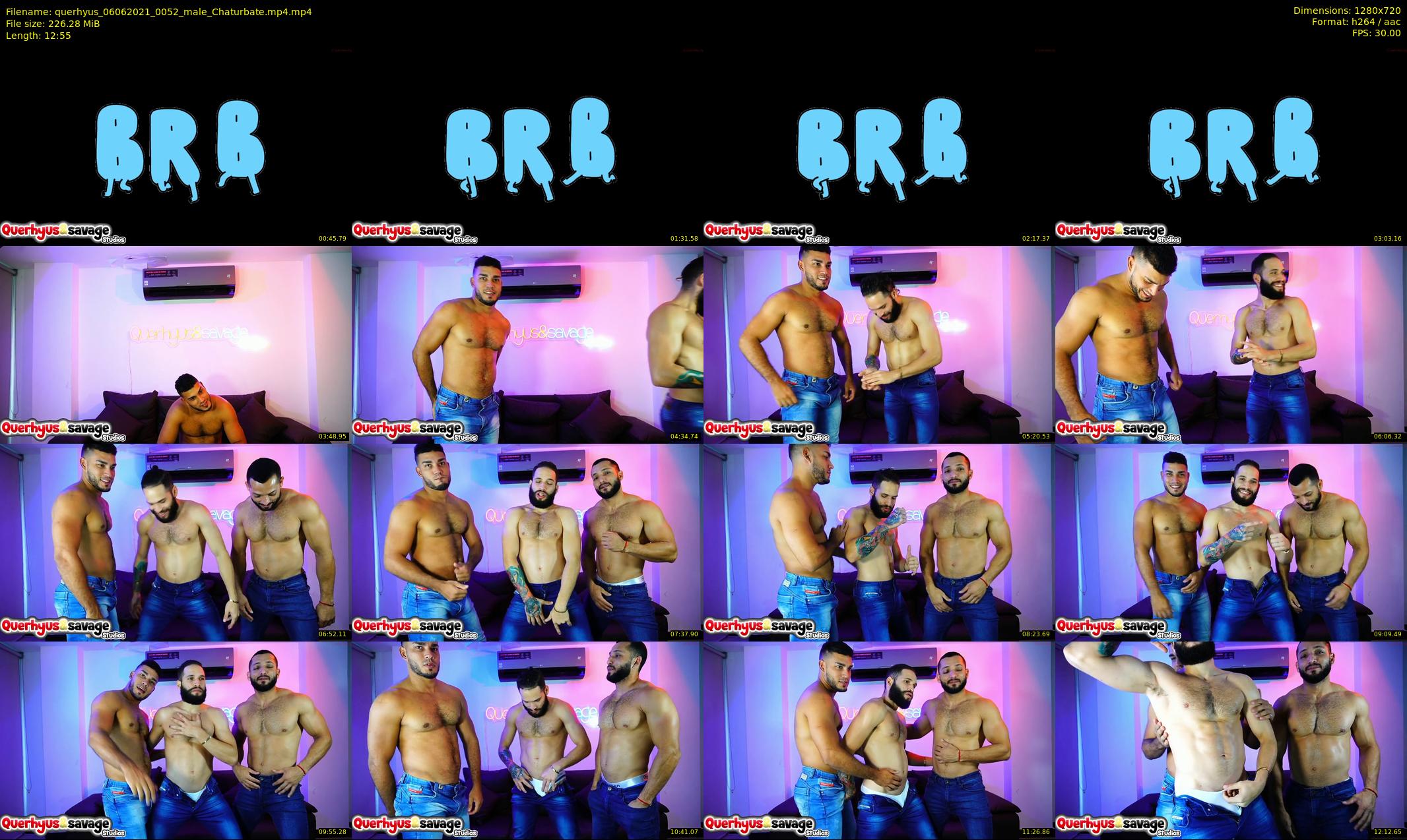 querhyus — 13 minute Chaturbate male cam show recording, 720p, Jun 6, 2021