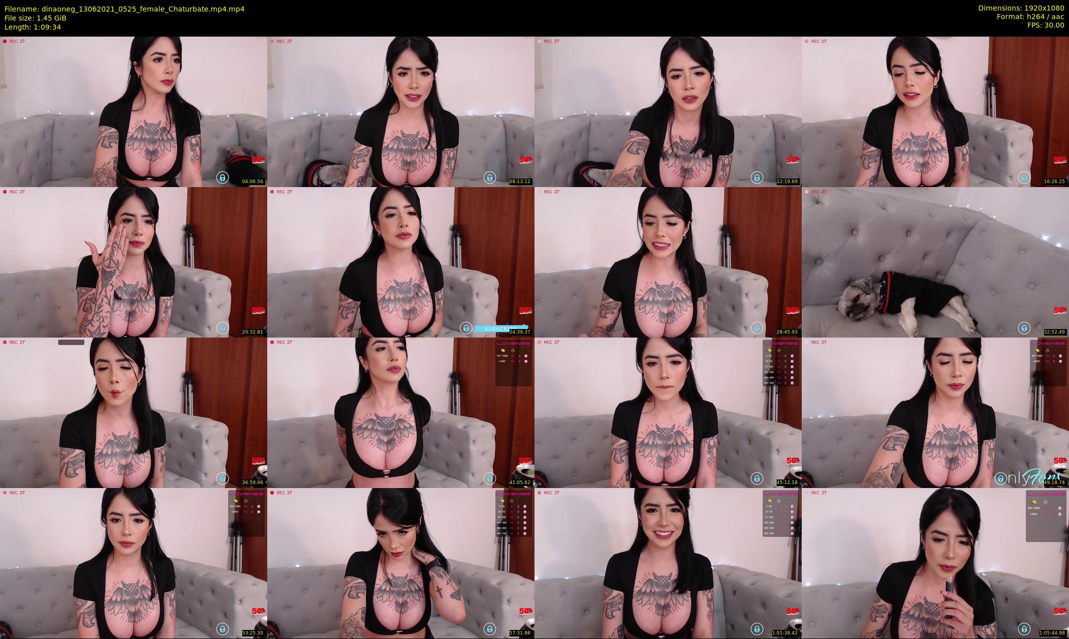 dinaoneg — 70 minute Chaturbate female cam show recording, 1080p, Jun 13, 2021