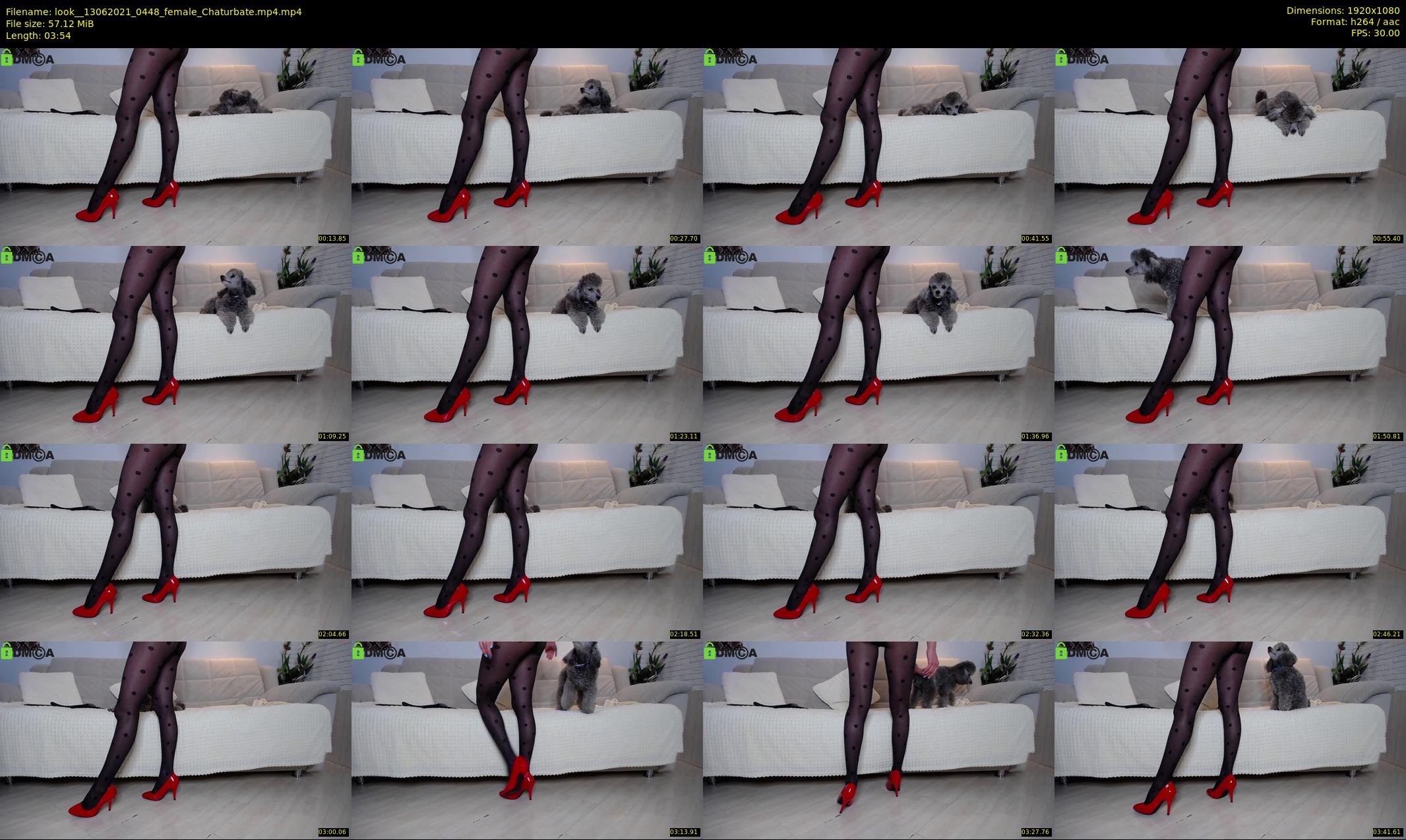 look_ — 4 minute Chaturbate female cam show recording, 1080p, Jun 13, 2021