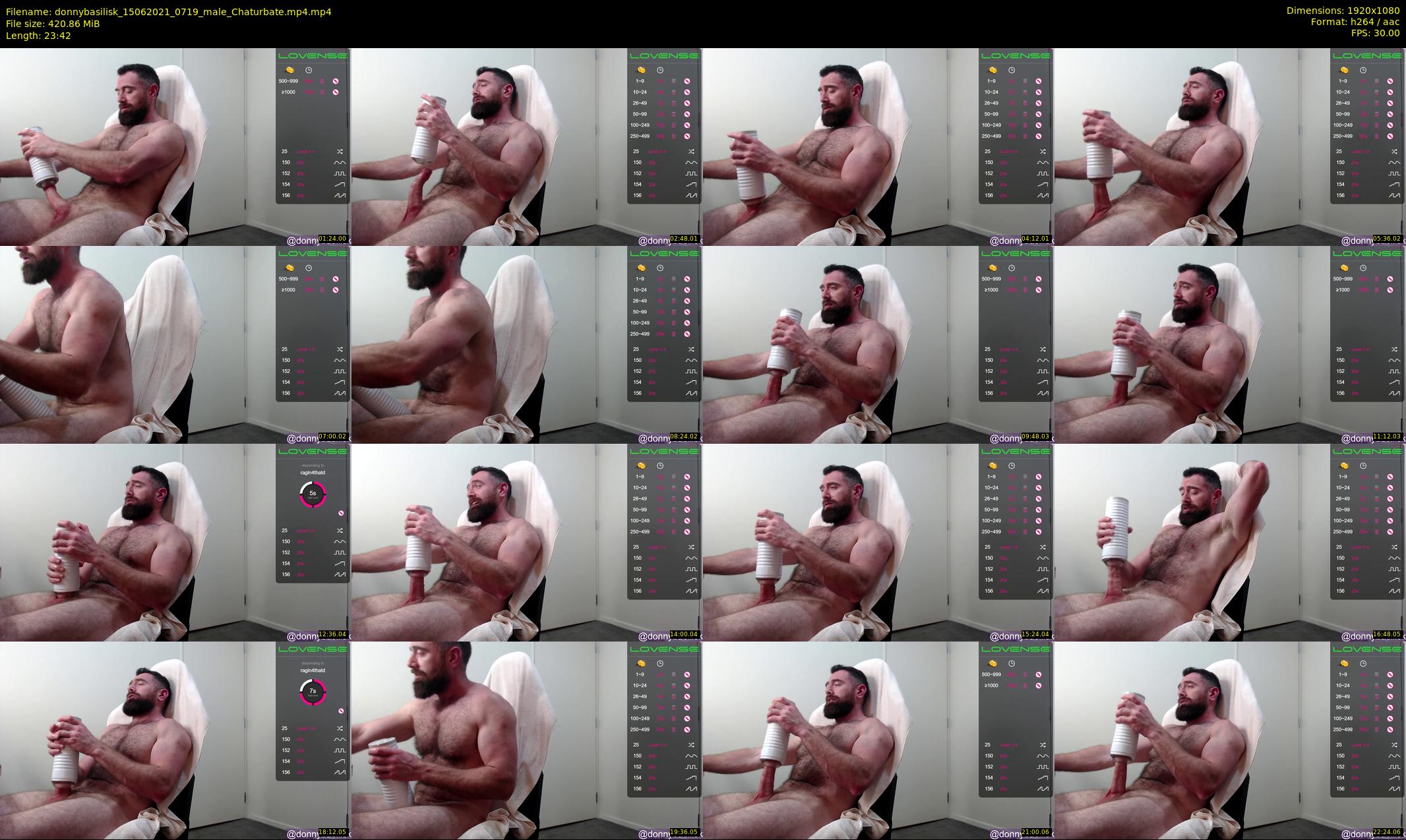 donnybasilisk — 24 minute Chaturbate male cam show recording, 1080p, Jun 15, 2021