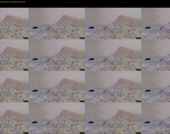 cuteangelx — 9 minute Chaturbate female cam show recording, 720p, Jun 17, 2021
