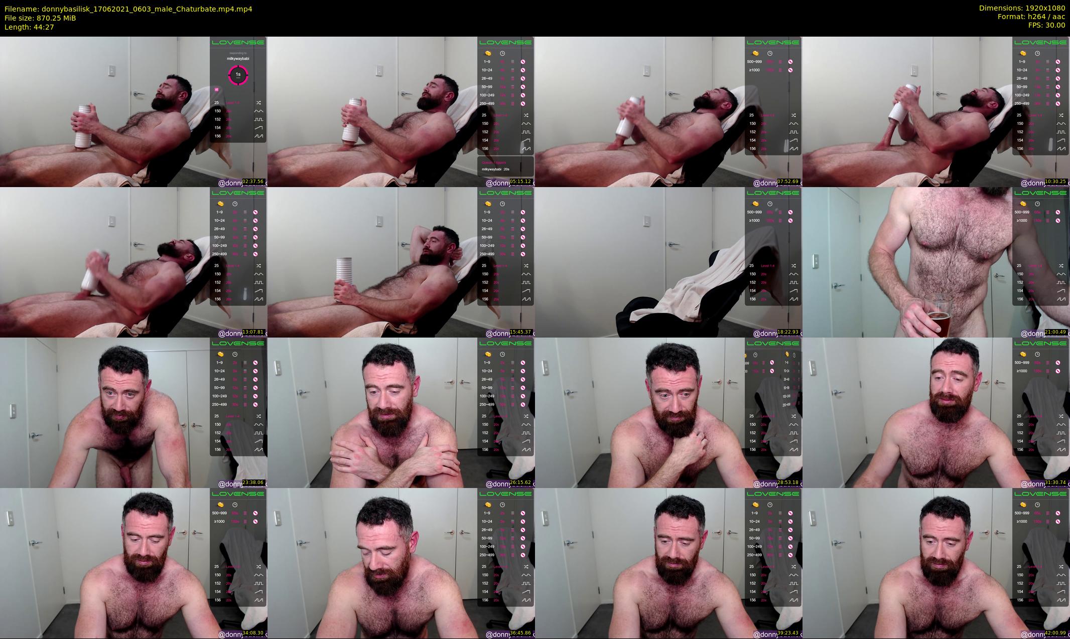 donnybasilisk — 45 minute Chaturbate male cam show recording, 1080p, Jun 17, 2021
