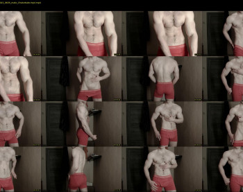 big_nick_for_you_ — 9 minute Chaturbate male cam show recording, 1080p, Jun 23, 2021