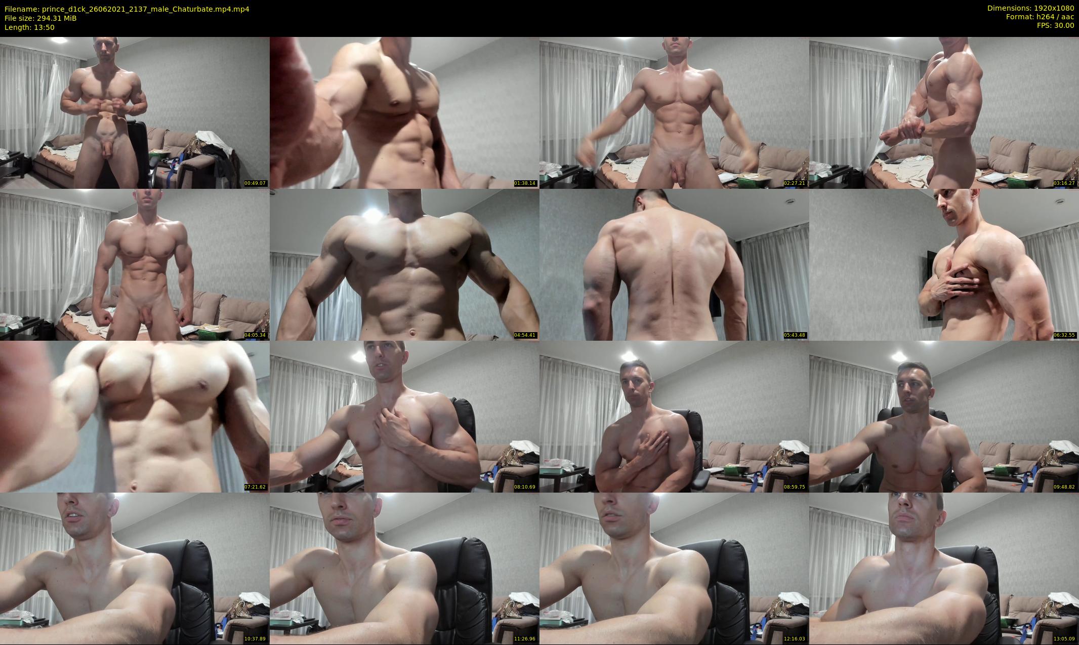 prince_d1ck — 14 minute Chaturbate male cam show recording, 1080p, Jun 26, 2021