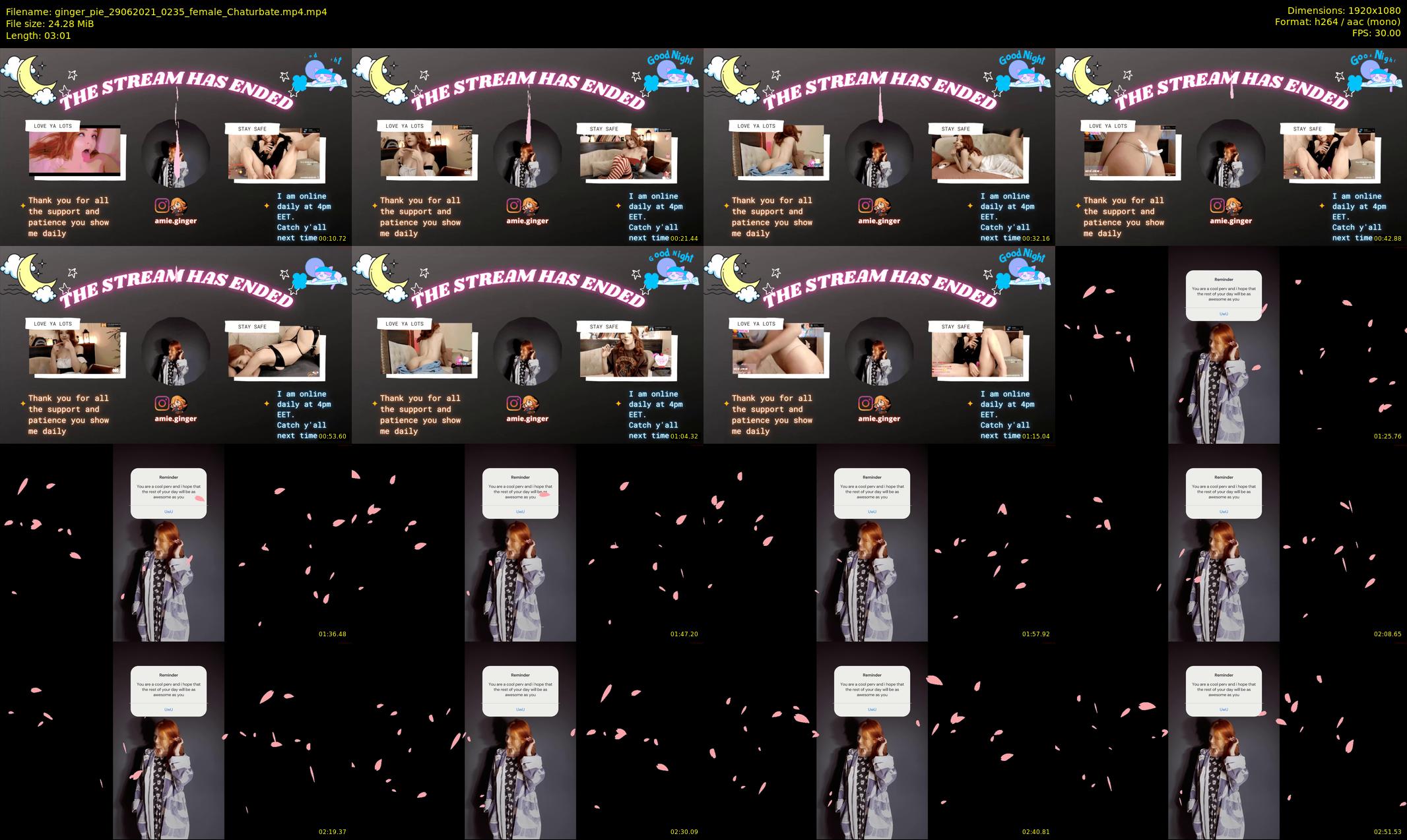 ginger_pie — 4 minute Chaturbate female cam show recording, 1080p, Jun 29, 2021